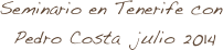 Seminario en Tenerife con
 Pedro Costa  julio 2014